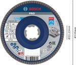 Produktbild von Bosch PRO X571 Fächerschleifscheibe – 125 Mm, Körnung 80, Für Stahl Und Edelstahl, 22,23 Mm Bohrung