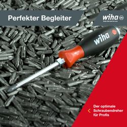 Vorschaubild 8