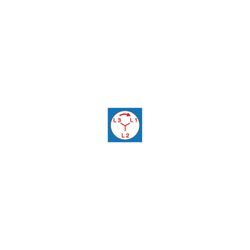 Vorschaubild 10