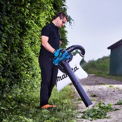 Vorschaubild 13