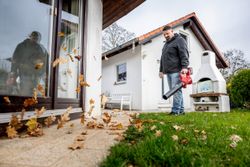 Vorschaubild 9