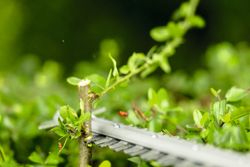 Vorschaubild 10