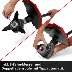 Vorschaubild 11