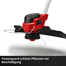 Vorschaubild 6