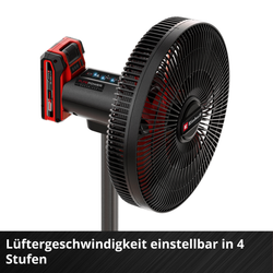 Vorschaubild 10