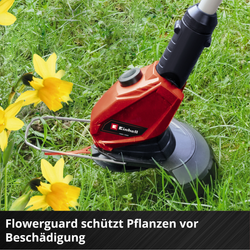 Vorschaubild 10