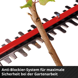 Vorschaubild 11