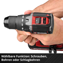 Vorschaubild 8
