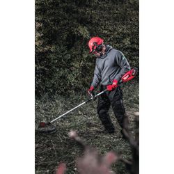 Vorschaubild 8