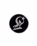 Ring-Wolf-Mond-2.jpg