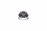 Ring-Tugra-7-3.JPG
