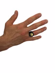 Halbmond-Wolf--clipped-rev-1.jpeg