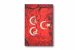BildDSC-7013-clipped-rev-1Bild.jpeg