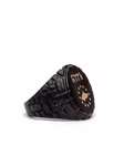 Ring-Wolf-Stern-2.jpg