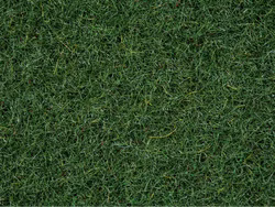 Noch-8320-Streugras---Moorboden---16163.jpg Noch-8320-Streugras---Moorboden---16163.jpg