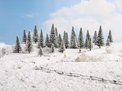 Noch-26828-Schneetannen-40626.jpg Noch-26828-Schneetannen-40626.jpg
