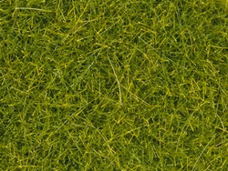 Noch-08363-Streugras-4mm-60392.jpg Noch-08363-Streugras-4mm-60392.jpg
