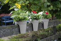 KHW Geländerblumentopf Flowerclip, 3er Set, grau