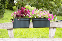 KHW Geländerblumentopf Flowerclip XL, 2er Set, anthrazit