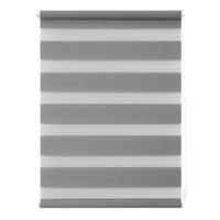 Duo-Rollo Klemmfix, ohne Bohren - Grau, 100 cm x 150 cm (B x L)
