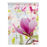 Rollo Klemmfix, ohne Bohren, blickdicht, Magnolie - Rosa, 80 x 150 cm (B x L)