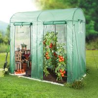 Tomatengewächshaus mit 2 Toren und 4 Fenstern, ca. 200 x 100 x 150/180 cm - Grün