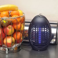 UV-Insektenvernichter