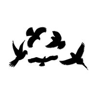 Vogelfrei Silhouetten 5er Set