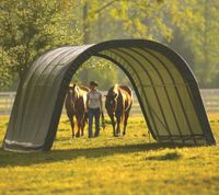 ShelterLogic Weidezelt Run-In-Shed 22,57 m² grün