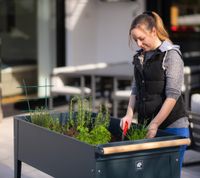 Herstera Garden Kräuterfabrik Swivel anthrazit