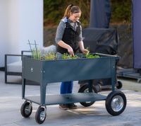 Herstera Garden Kräuterfabrik Swivel anthrazit