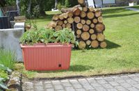 Pflanzkasten "Ambizioso", terra