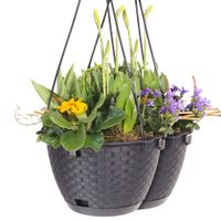 2er Set Hängeampel in Rattanoptik aus Kunststoff , ca. 3 Liter - Anthrazit