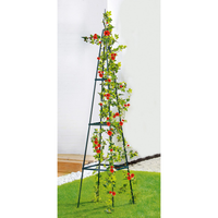 Dekorative Rankhilfe - Pyramide