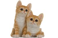 My Flair Katzenkinder, orange/weiß gestreift