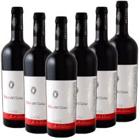 Red Artisan Cuvee Merlot- Schwarze Mädchentraube - 6er Karton