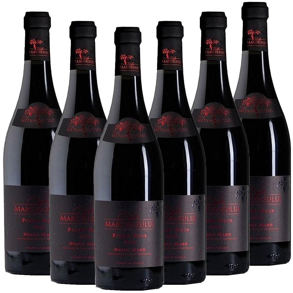 Vitis Metamorfozis VIA MARCHIZULUI Pinot Noir DOC 6-er Pack
