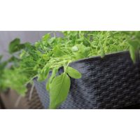 Pflanzkasten-Komplettset in Rattanoptik. ca. 49 x 17 x 17 cm - Dunkelbraun