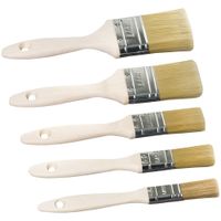 Lack-Pinsel-Set 5tlg. "PRO"