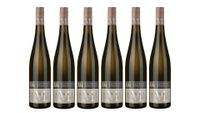 Sankt M. Riesling M.Sauvignon  Blanc Qualitätswein Trocken 0,75L 6er Karton