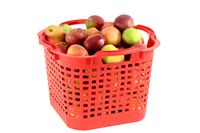 Uni-Korb 25 kg, 10 Stück, drehstapelbar, rot