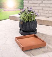Pflanzenroller mit erhöhtem Rand aus robuster Kunststoff, ca. 29 x 29 x 5,5 cm - eckig - Terrakotta