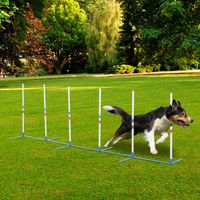 Hunde Slalomstangen Agility Training Inklusive 600D Tasche Kunststoff Weiß+Blau 305 x 60 x 94 cm