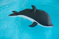 Westmann Pool Buddy Delfin