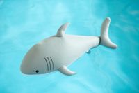 Westmann Pool Buddy Hai