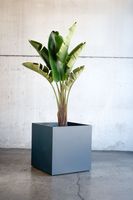 Herstera Garden Pflanzkasten 70x70x70 anthrazit