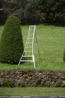 Niwaki 3-Holm-Gartenleiter 270cm höhenverstellbar