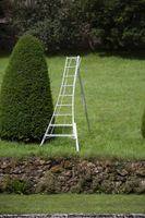 Niwaki 3-Holm-Gartenleiter 270cm höhenverstellbar