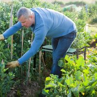 Kniebank für Gartenarbeit Klappbarer Gartenhocker Kniehilfe bis 150 kg