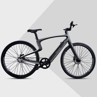 Urtopia Smartes Carbon E-Bike Lyra  Gr. L 35Nm Blinker Anti Diebstahl Navi App Sprachsteuerung
